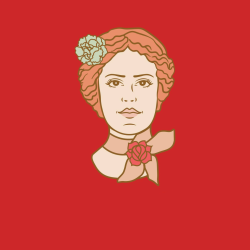 The Modern Rose The Modern Rose